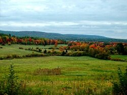 Fall Foliage
